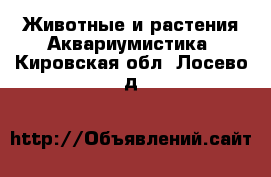 Животные и растения Аквариумистика. Кировская обл.,Лосево д.